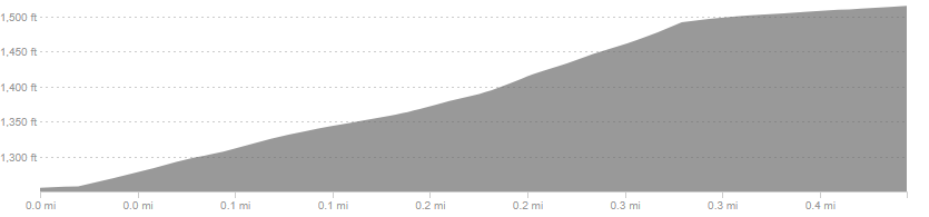 Run Leg 4 Elevation Map